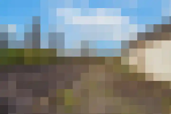 Waalbandijk 61 Ophemert thumbnail 16