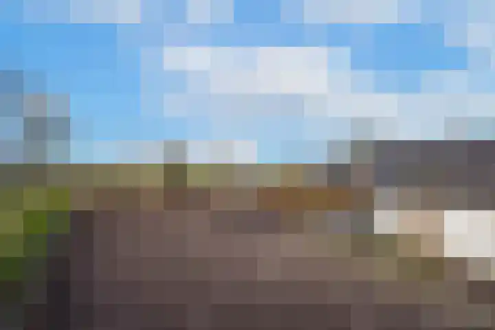 Waalbandijk 61 Ophemert thumbnail 17