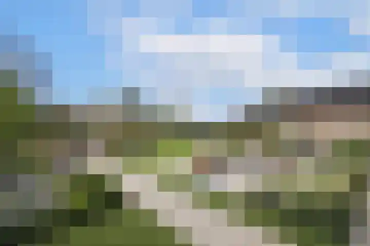 Waalbandijk 61 Ophemert thumbnail 18
