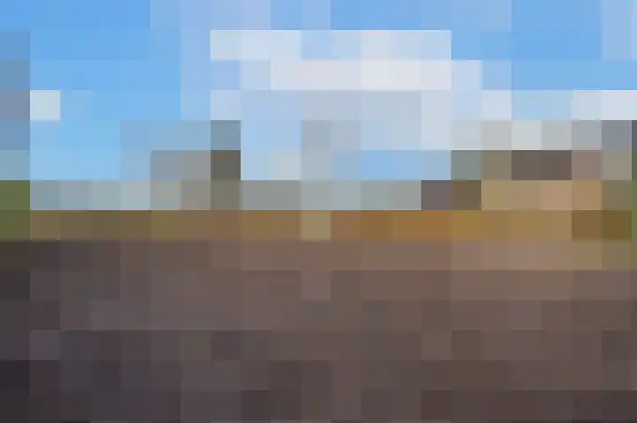 Waalbandijk 61 Ophemert thumbnail 19