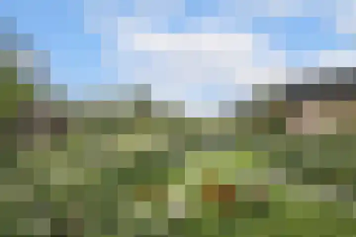 Waalbandijk 61 Ophemert thumbnail 20