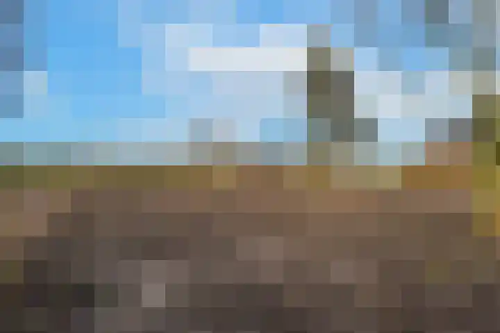 Waalbandijk 61 Ophemert thumbnail 21