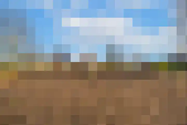 Waalbandijk 61 Ophemert thumbnail 22