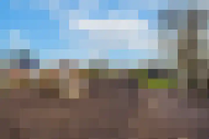 Waalbandijk 61 Ophemert thumbnail 23