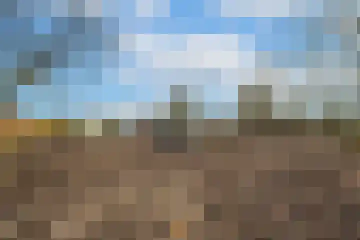 Waalbandijk 61 Ophemert thumbnail 24