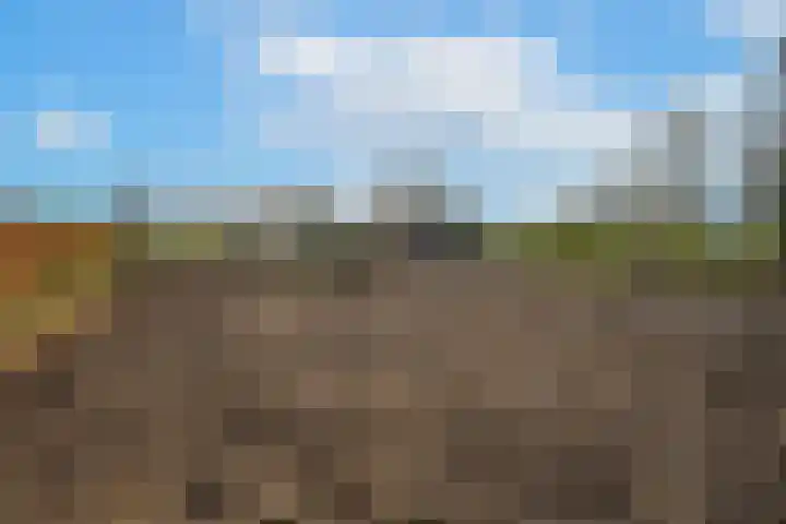 Waalbandijk 61 Ophemert thumbnail 25