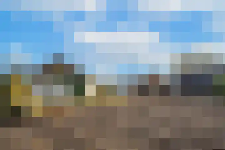 Waalbandijk 61 Ophemert thumbnail 26