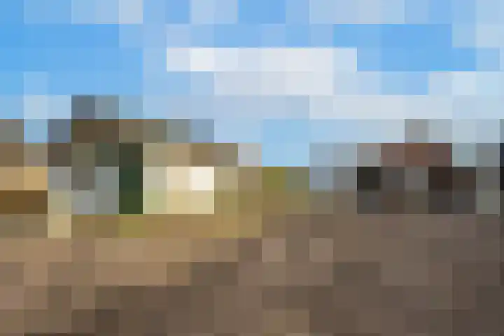 Waalbandijk 61 Ophemert thumbnail 27