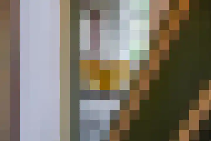 Waalbandijk 61 Ophemert thumbnail 30