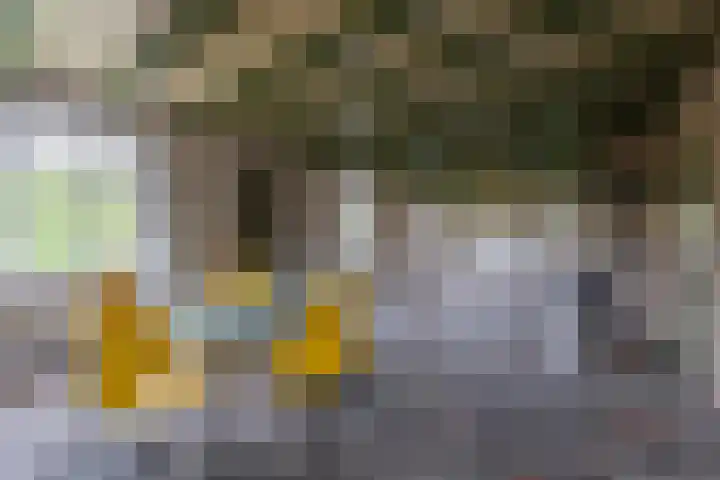 Waalbandijk 61 Ophemert thumbnail 31