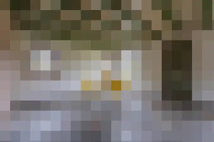 Waalbandijk 61 Ophemert thumbnail 32