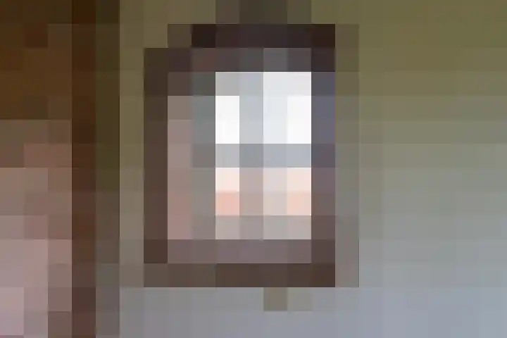 Waalbandijk 61 Ophemert thumbnail 33