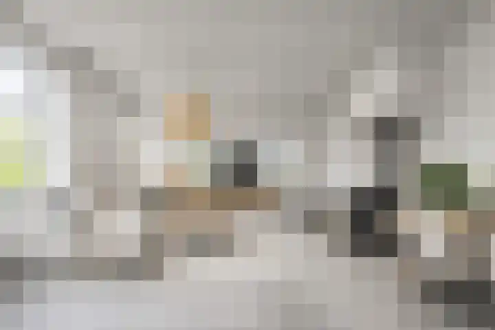 Waalbandijk 61 Ophemert thumbnail 36