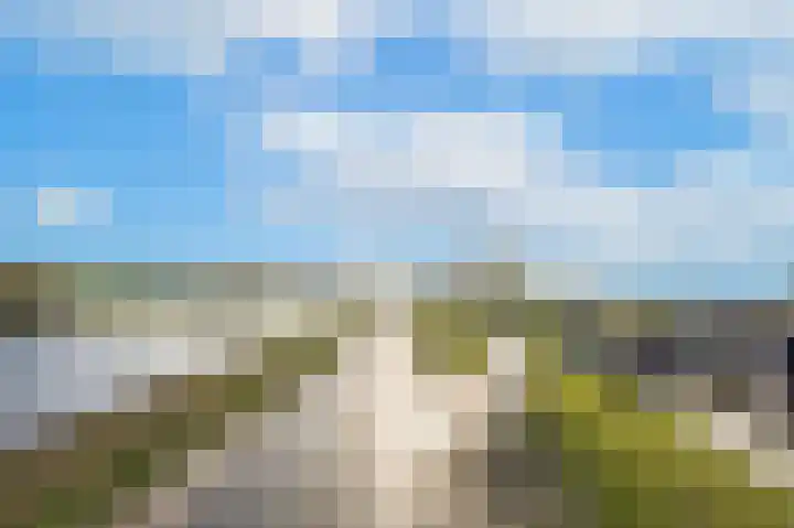 Waalbandijk 61 Ophemert thumbnail 4