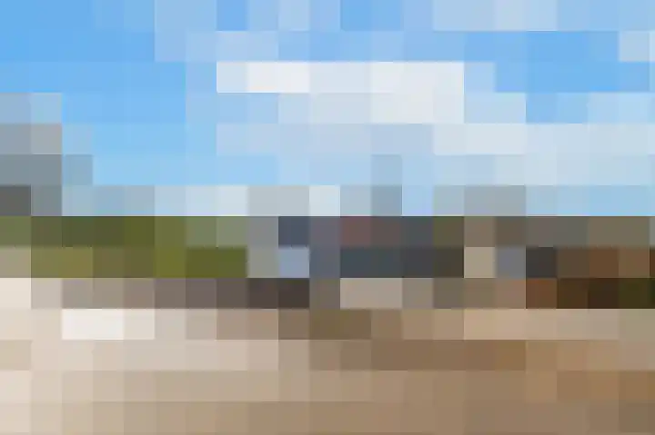 Waalbandijk 61 Ophemert thumbnail 5
