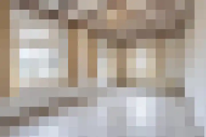 Waalbandijk 61 Ophemert thumbnail 52
