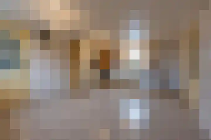 Waalbandijk 61 Ophemert thumbnail 56