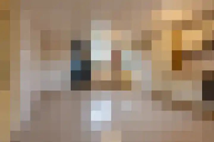Waalbandijk 61 Ophemert thumbnail 57