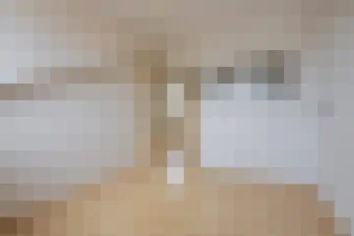 Waalbandijk 61 Ophemert thumbnail 64