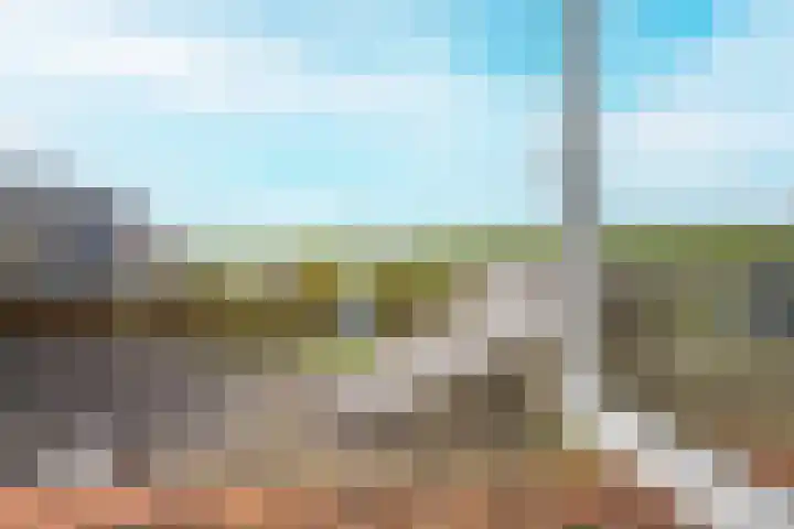 Waalbandijk 61 Ophemert thumbnail 65