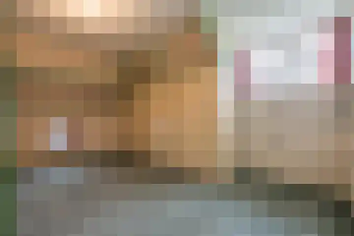 Waalbandijk 61 Ophemert thumbnail 67