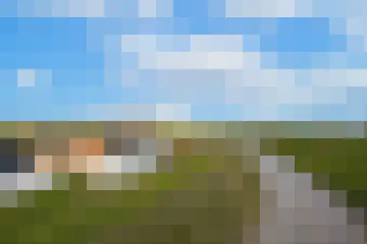 Waalbandijk 61 Ophemert thumbnail 7