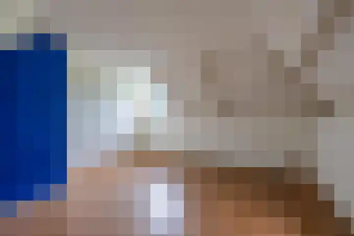 Waalbandijk 61 Ophemert thumbnail 72