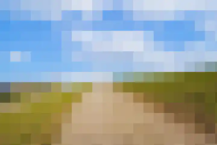 Waalbandijk 61 Ophemert thumbnail 73