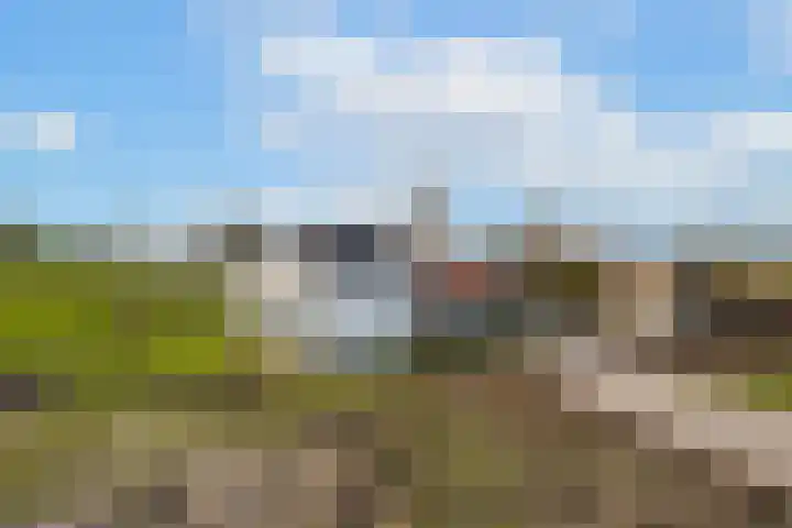 Waalbandijk 61 Ophemert thumbnail 74