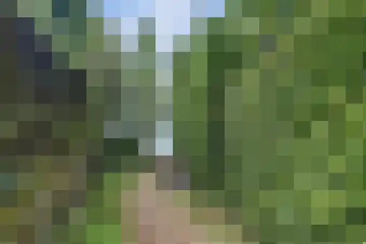 Waalbandijk 62 Gameren thumbnail 10