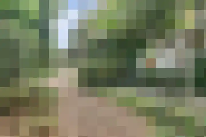 Waalbandijk 62 Gameren thumbnail 11