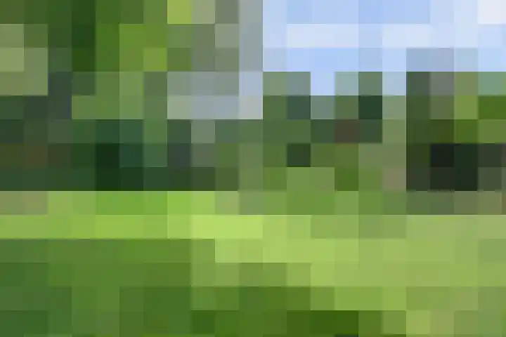 Waalbandijk 62 Gameren thumbnail 12