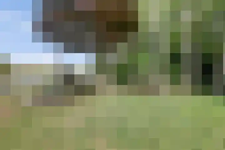 Waalbandijk 62 Gameren thumbnail 13