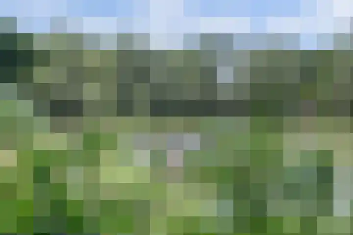 Waalbandijk 62 Gameren thumbnail 14