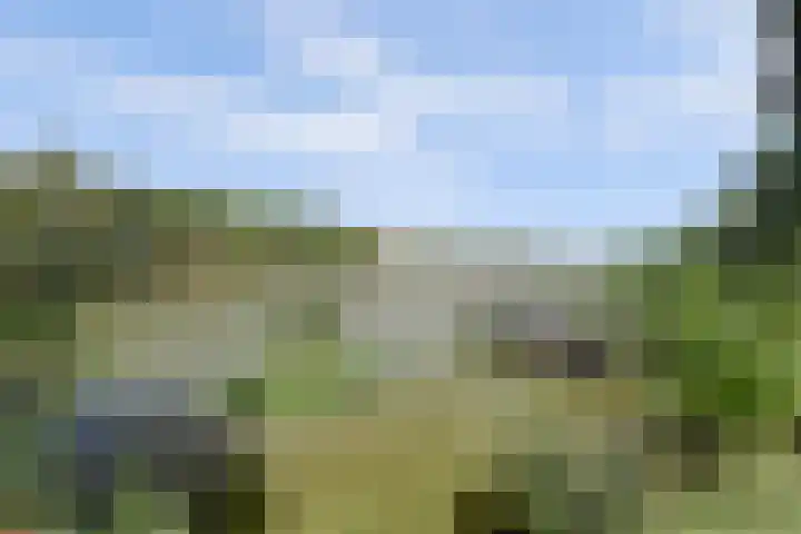 Waalbandijk 62 Gameren thumbnail 16