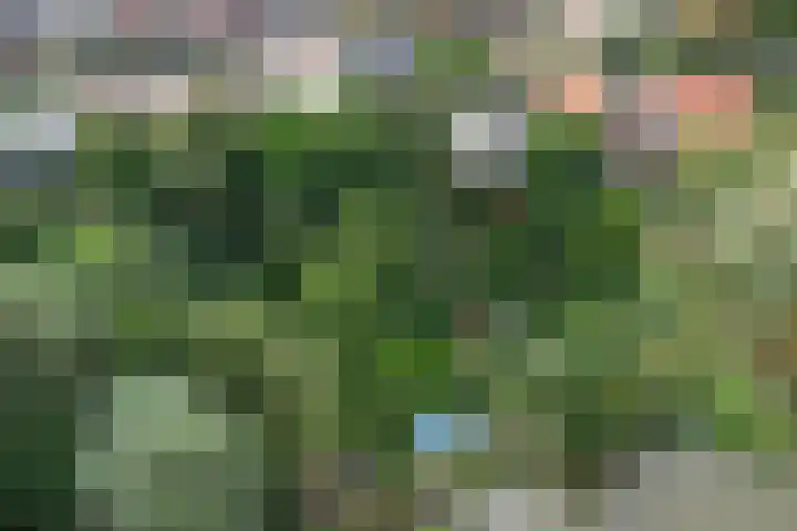 Waalbandijk 62 Gameren thumbnail 18