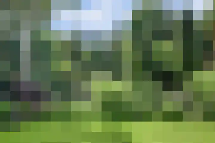 Waalbandijk 62 Gameren thumbnail 19