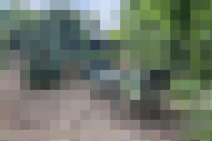 Waalbandijk 62 Gameren thumbnail 20