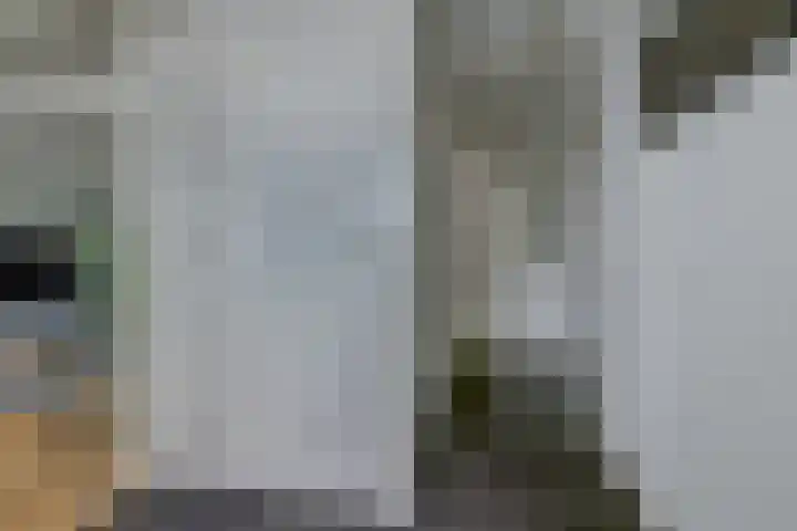 Waalbandijk 62 Gameren thumbnail 22