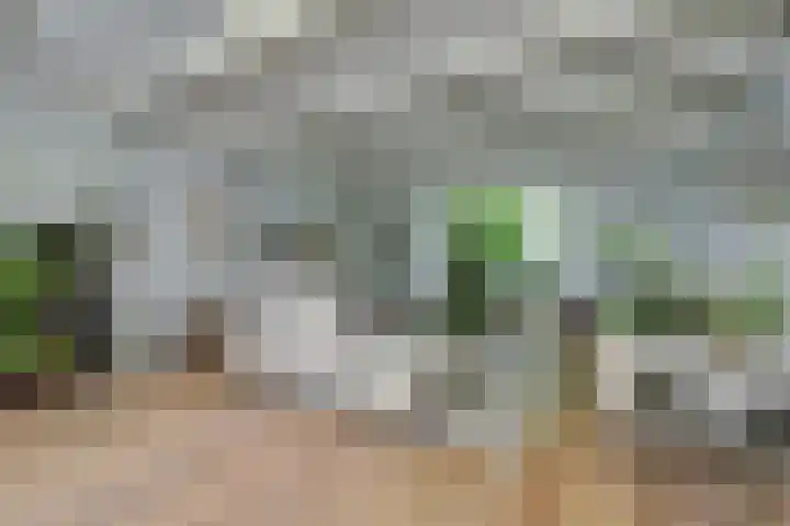 Waalbandijk 62 Gameren thumbnail 24