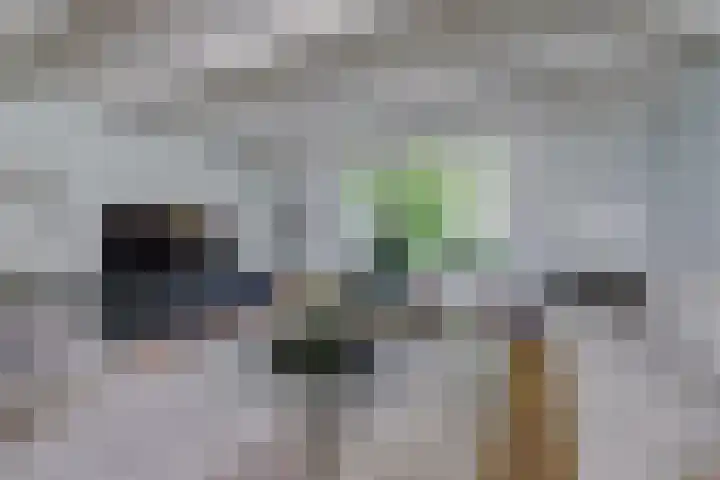 Waalbandijk 62 Gameren thumbnail 26
