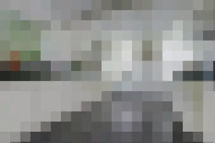 Waalbandijk 62 Gameren thumbnail 31