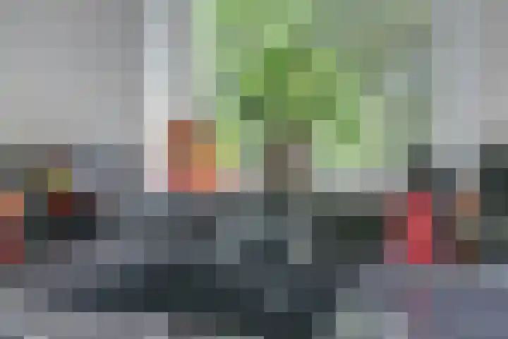 Waalbandijk 62 Gameren thumbnail 32