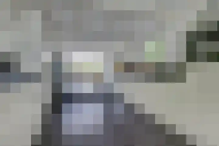 Waalbandijk 62 Gameren thumbnail 33