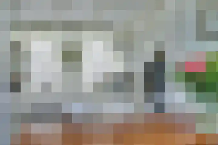Waalbandijk 62 Gameren thumbnail 36