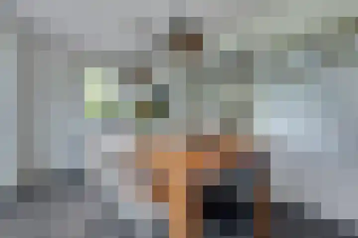 Waalbandijk 62 Gameren thumbnail 37