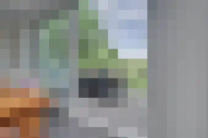Waalbandijk 62 Gameren thumbnail 40