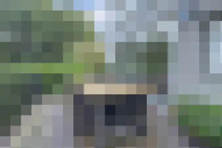 Waalbandijk 62 Gameren thumbnail 42