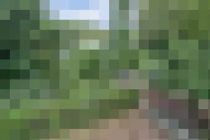 Waalbandijk 62 Gameren thumbnail 43