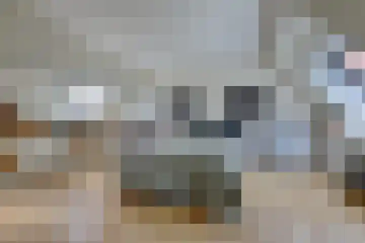 Waalbandijk 62 Gameren thumbnail 44